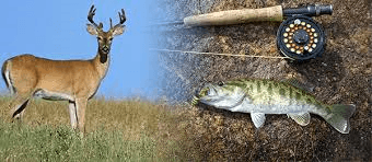 Deer and Fish